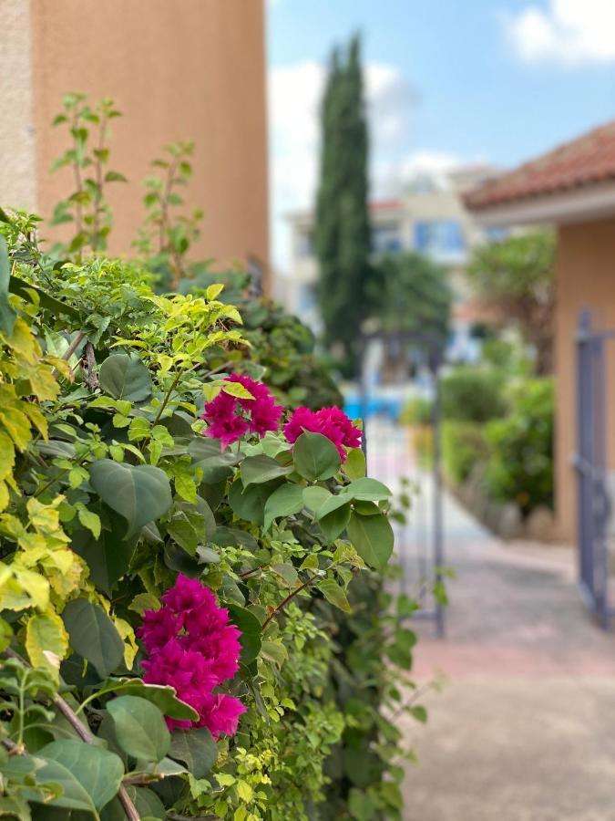 Paphos Paradise Gardens With A Large Terrace מראה חיצוני תמונה