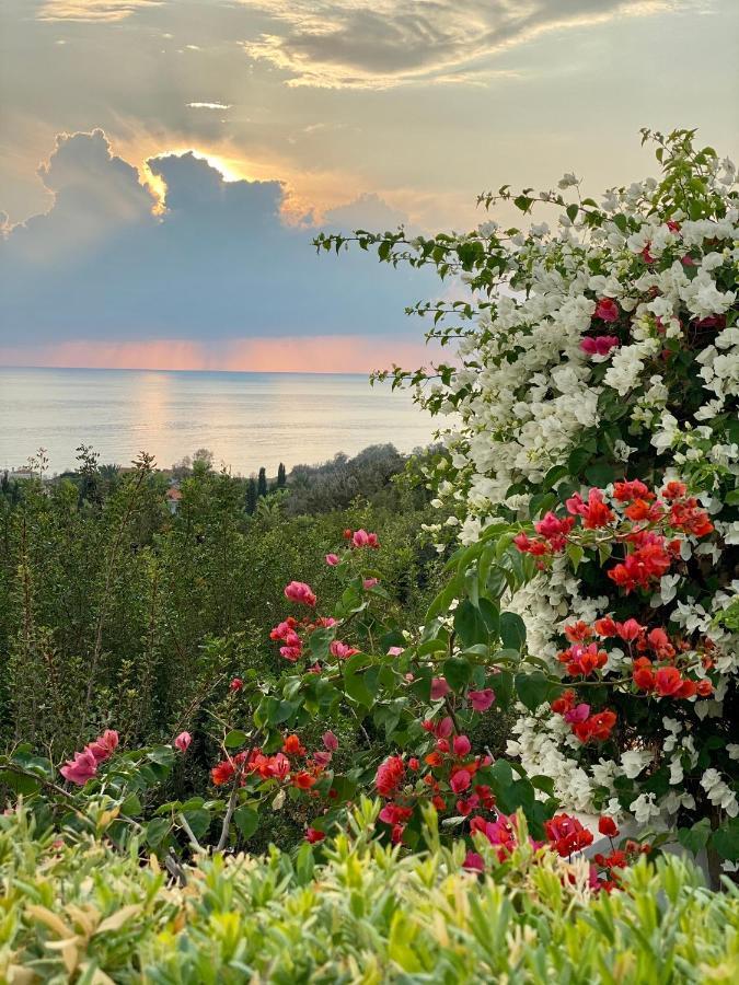 Paphos Paradise Gardens With A Large Terrace מראה חיצוני תמונה